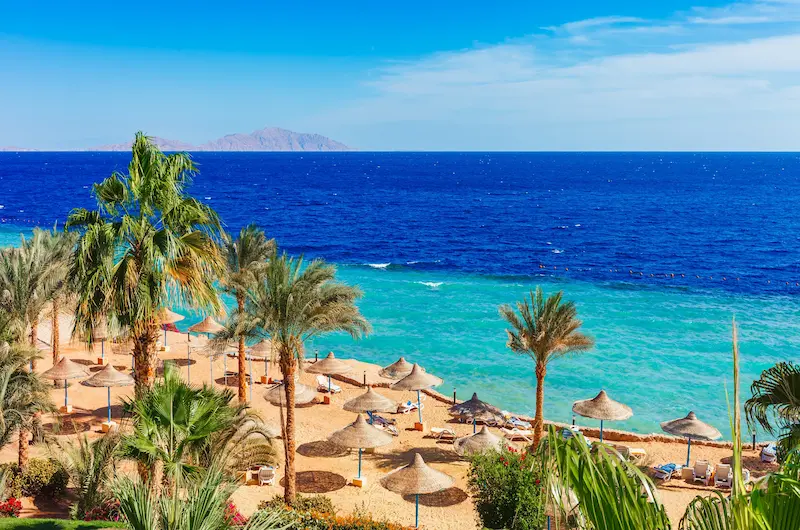 Plajă din Sharm El Sheikh cu palmieri și insula Tiran la orizont — sejur charter Egipt pe Marea Roșie