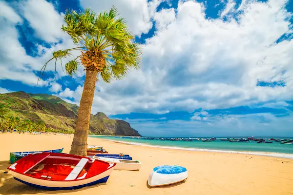 Plaja Las Teresitas din Tenerife cu palmier și bărci colorate pe nisip galben — sejur charter Insulele Canare