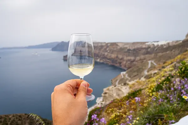 Vinul Assyrtiko Santorini
